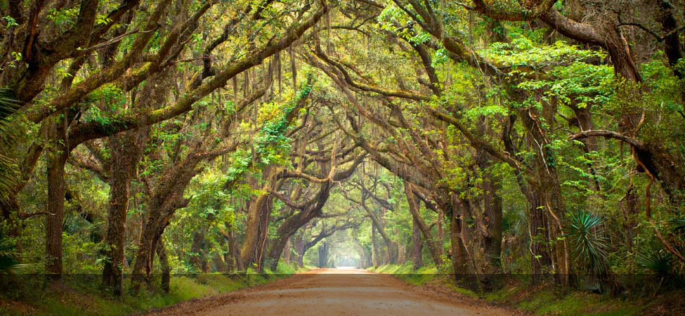 The road less traveled...what's your destination?